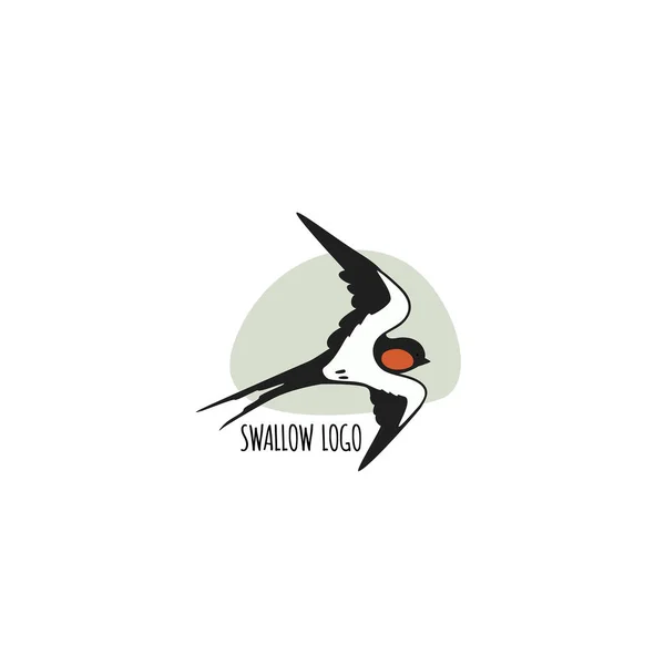 Golondrina plantilla logo — Vector de stock