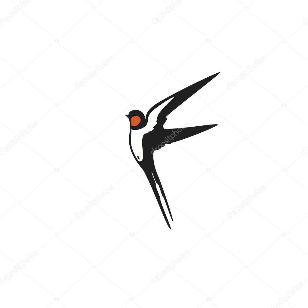 Swallow  template logo or emblem. Vector illustration