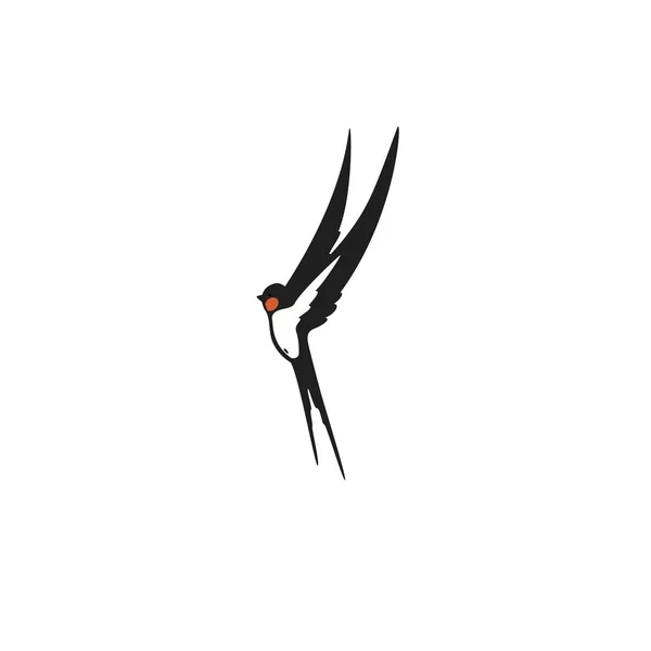 Swallow sjabloon logo — Stockvector