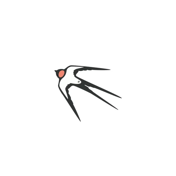 Swallow sjabloon logo — Stockvector