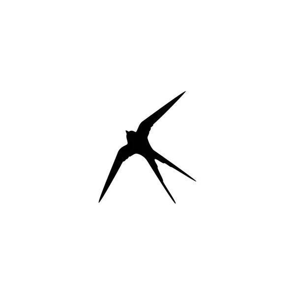 Swallow sjabloon logo — Stockvector