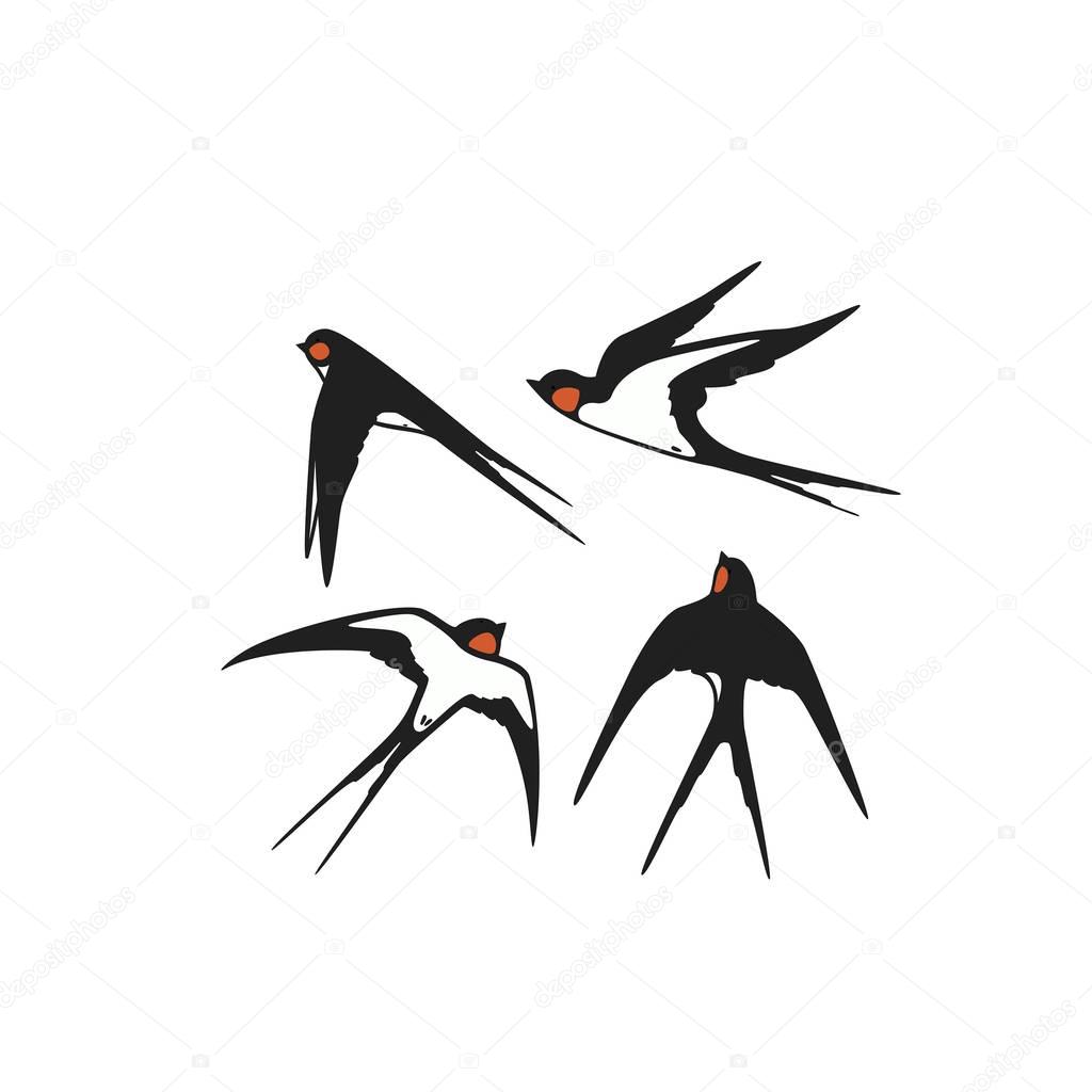 Swallows  template logo or emblem. Vector illustration