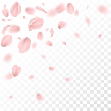 güzel pembe Erik yaprakları damalı arka plan, vektör, illüstrasyon kart 