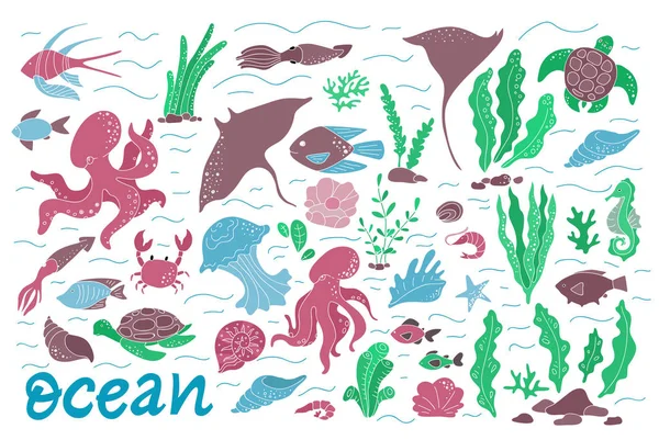 Oceano Flora Fauna Ilustração Vetorial Habitantes Marinhos Algas Plâncton Marinho — Vetor de Stock