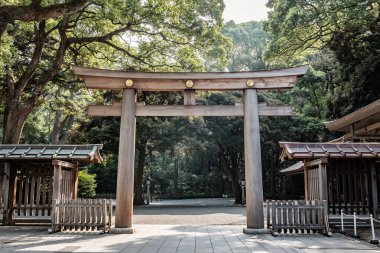 Tahta Torii kapısı, Japonya, Tokyo 'daki Shinto Tapınağı' nın geleneksel Japon kapısı..