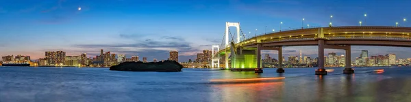 Vista Panorámica Del Horizonte Tokio Por Noche Ciudad Tokio Japón — Foto de Stock