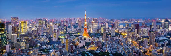 Cityscape Tokyo Skyline Vista Panorâmica Dos Arranha Céus Aéreos Edifício — Fotografia de Stock