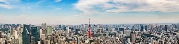 Pejzaż Miasta Tokio Panoramiczne Drapacze Chmur Widokiem Biurowiec Centrum Miasta — Zdjęcie stockowe