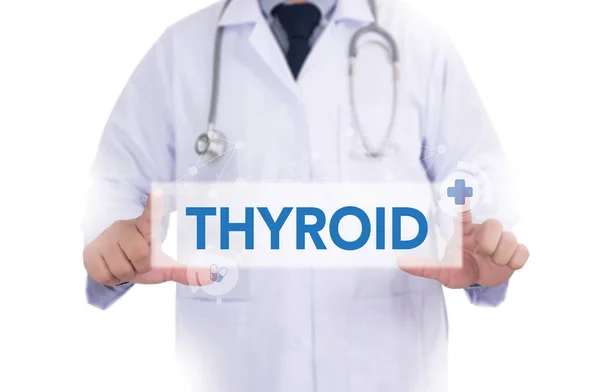 Tiroid bezi ve trakea düzeni gösterilen, sağlık ve tıp — Stok fotoğraf