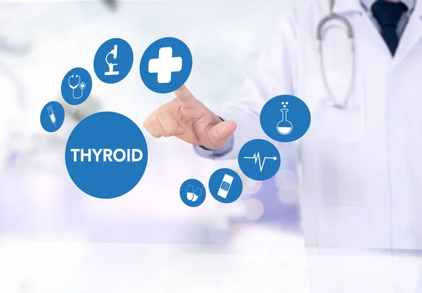 Se muestra el esquema de glándula tiroides y tráquea, atención médica y de salud —  Fotos de Stock