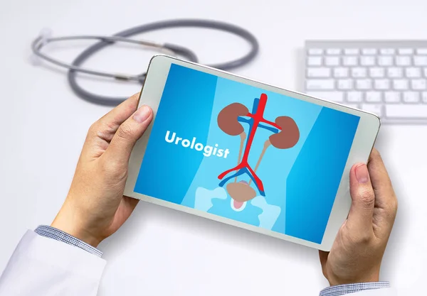 Urologist healthcare, profession, people and medicine