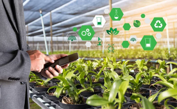 agriculture technology concept man Agronomist Using a Tablet Int