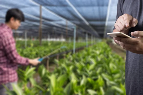 Koncepcja technologii rolnictwa człowiek agronom za pomocą tabletu w — Zdjęcie stockowe