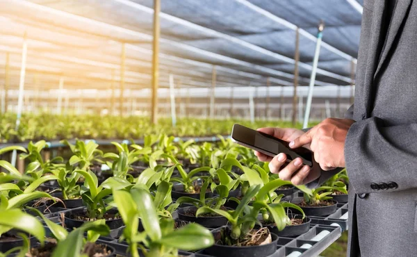 Koncepcja technologii rolnictwa człowiek agronom za pomocą tabletu w — Zdjęcie stockowe