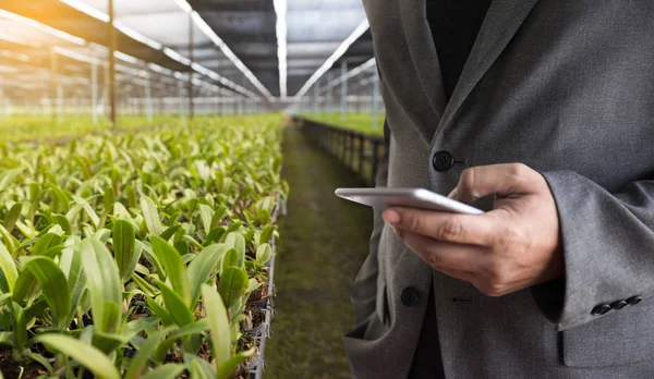 Koncepcja technologii rolnictwa człowiek agronom za pomocą tabletu w — Zdjęcie stockowe