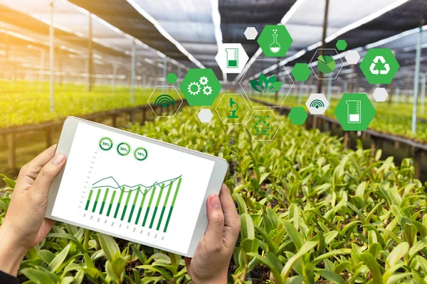 Agricultura tecnología concepto hombre agrónomo utilizando una tableta Int — Foto de Stock