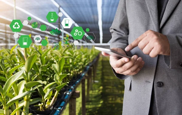 Mezőgazdasági technológia koncepció ember agronómus használ egy tabletta Int — Stock Fotó