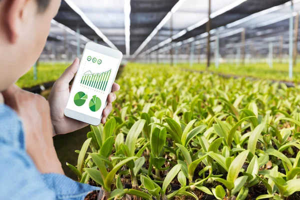 Koncepcja technologii rolnictwa człowiek agronom za pomocą tabletu w — Zdjęcie stockowe