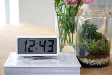 pencere güzel çiçekler modern interi odasında çiçek