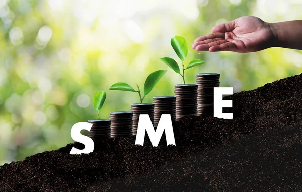 Growing Savings business SME or Small and medium-sized enterpris — Stock Photo, Image