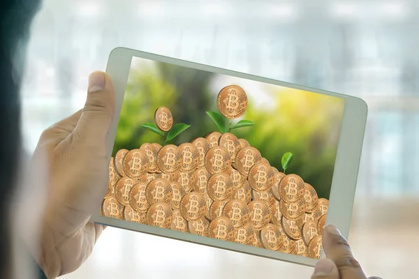 Finanzielle goldene Bitcoins Leiter Wachstumskonzept Kryptowährung — Stockfoto