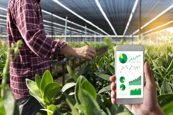 Agricultura tecnologia conceito homem Agronomista Usando um Tablet em — Fotografia de Stock