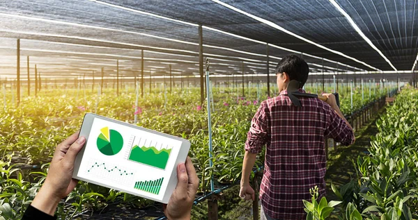 Agricultura tecnología concepto hombre agrónomo Uso de una tableta en —  Fotos de Stock