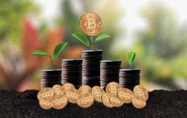 Büyüme kavramı Kripto para birimi Finansal altın Bitcoins merdiven 