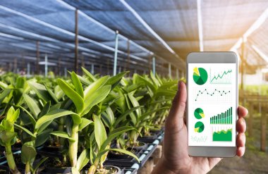 tarım teknoloji kavramı dostum Ziraat Mühendisi kullanarak bir Tablet 