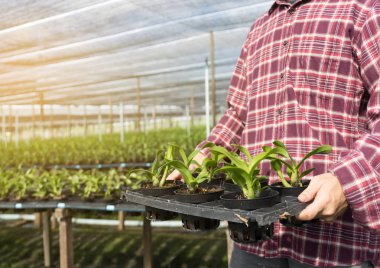 tarım teknoloji kavramı dostum Ziraat Mühendisi kullanarak bir Tablet 