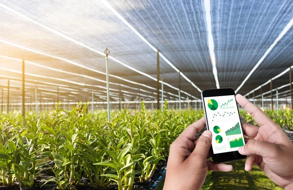 Mezőgazdasági technológia koncepció ember agronómus használ egy tabletta — Stock Fotó