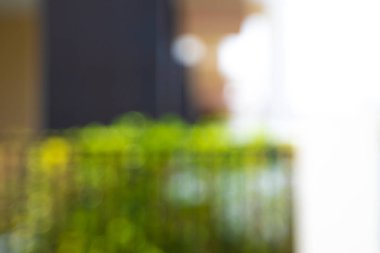 Bokeh arkaplan bokeh bulanık ofis yeşil bokeh arkaplan