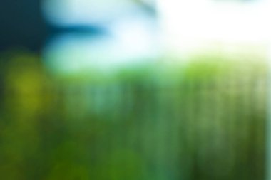 Bokeh arkaplan bokeh bulanık ofis yeşil bokeh arkaplan