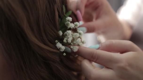Η νύφη φτιάχνει τα μαλλιά της από έναν κομμωτή.. — Αρχείο Βίντεο