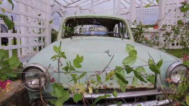 Çamur ve yeşillikle kaplı terk edilmiş bir araba. — Stok video