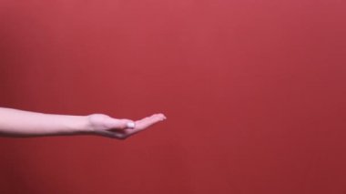 Stüdyodaki kırmızı arkaplanda, avuç içinin üzerinde el kameraları var..