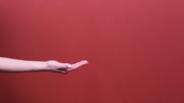 Frau Hand halten Kopierraum auf Handfläche isoliert über rotem Hintergrund im Studio.