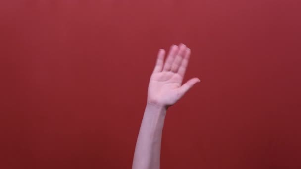 Woman hand waving at the camera over red background — Stock Video