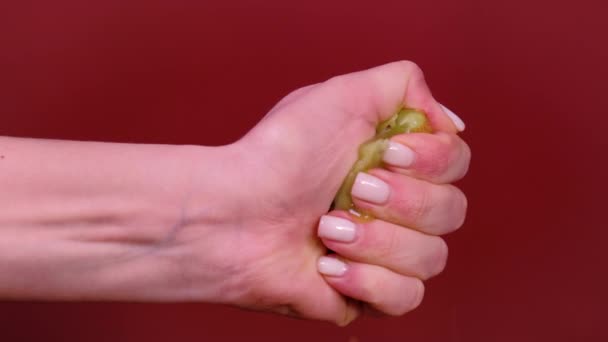 Женская рука сжимает киви изолированные на красном — стоковое видео