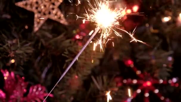 Feux d'artifice scintillant brûlant avec des lumières en arrière-plan — Video