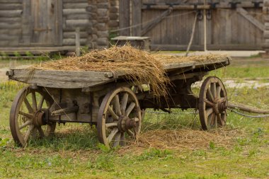 Vintage eski sert tahta at arabası, rustik retro taşıma