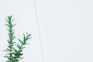 Kağıt ve yapraklardan oluşan yaratıcı bir düzen. Asgari doğa