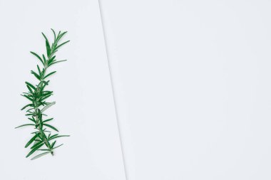 Kağıt ve yapraklardan oluşan yaratıcı bir düzen. Asgari doğa