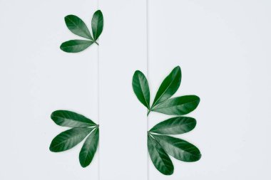 Kağıt ve yapraklardan oluşan yaratıcı bir düzen. Asgari doğa