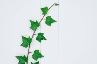 Kağıt ve yapraklardan oluşan yaratıcı bir düzen. Asgari doğa