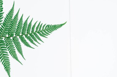 Kağıt ve yapraklardan oluşan yaratıcı bir düzen. Asgari doğa kavramı.