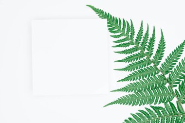 Kağıt ve yapraklardan oluşan yaratıcı bir düzen. Asgari doğa kavramı.