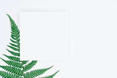 Kağıt ve yapraklardan oluşan yaratıcı bir düzen. Asgari doğa kavramı.