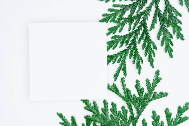 Kağıt ve yapraklardan oluşan yaratıcı bir düzen. Asgari doğa kavramı.