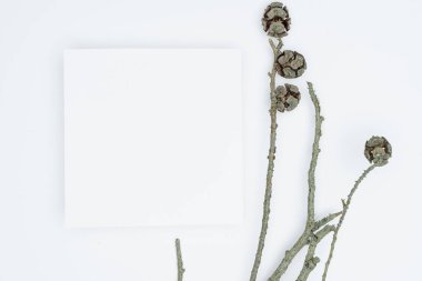 Kağıt ve yapraklardan oluşan yaratıcı bir düzen. Asgari doğa kavramı.